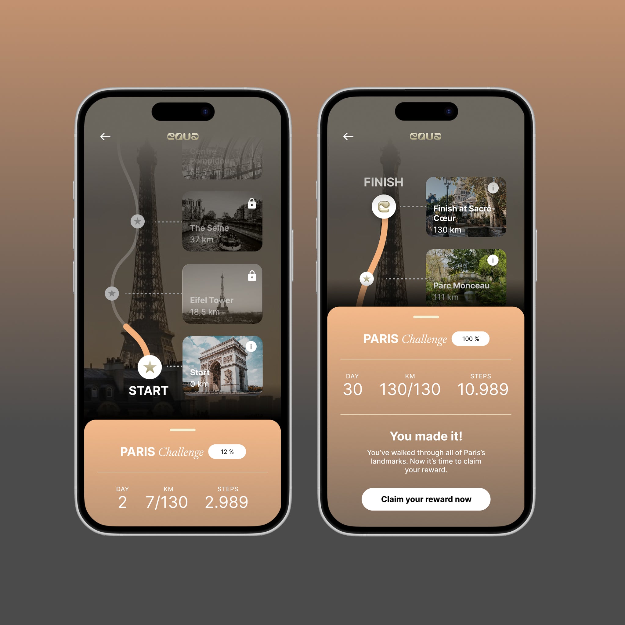 Paris Virtual Challenge
